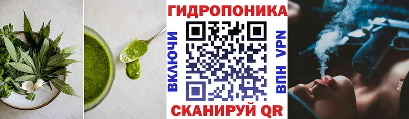 гидра как войти  купить наркотики цена  Александров  Canna-Cookies конопля 