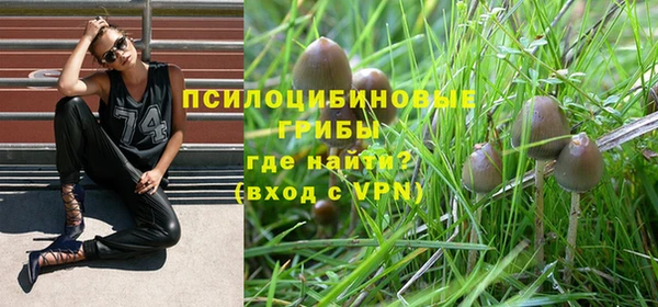 гашик Кинешма