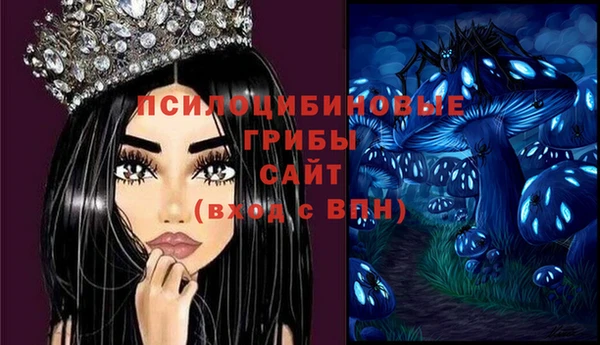 синтетический гашиш Киреевск