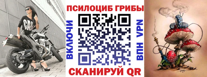 Псилоцибиновые грибы Cubensis  МЕГА маркетплейс  Александров 