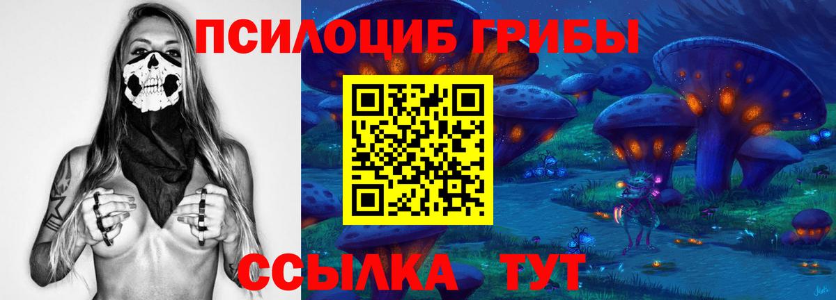 Псилоцибиновые грибы Psilocybine cubensis  Псилоцибиновые грибы мицелий  Вход с VPN  купить  сайты  Александров 