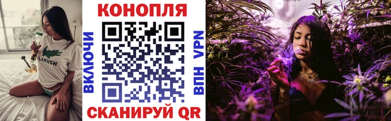 закладка  Александров  Канабис марихуана 